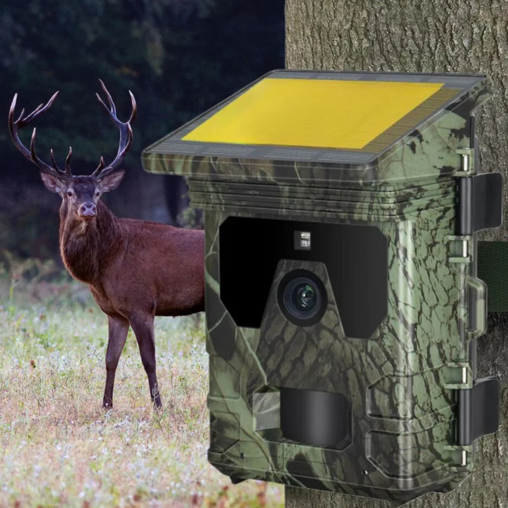 Wildkamera Solar 4G mit 4K-HD-Display, Nachtsicht, SMS-Steuerung + 128 GB Speicherkarte