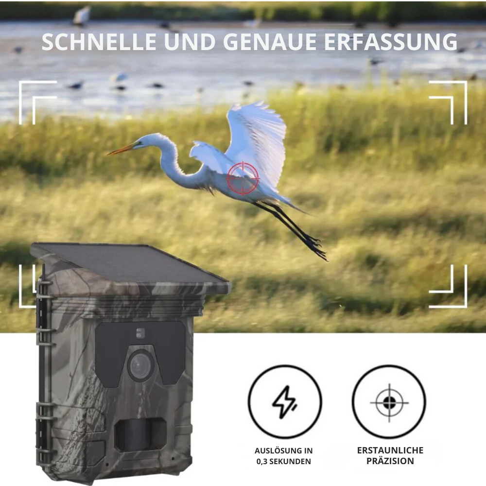 Wildkamera Solar 4G mit 4K-HD-Display, Nachtsicht, SMS-Steuerung + 128 GB Speicherkarte