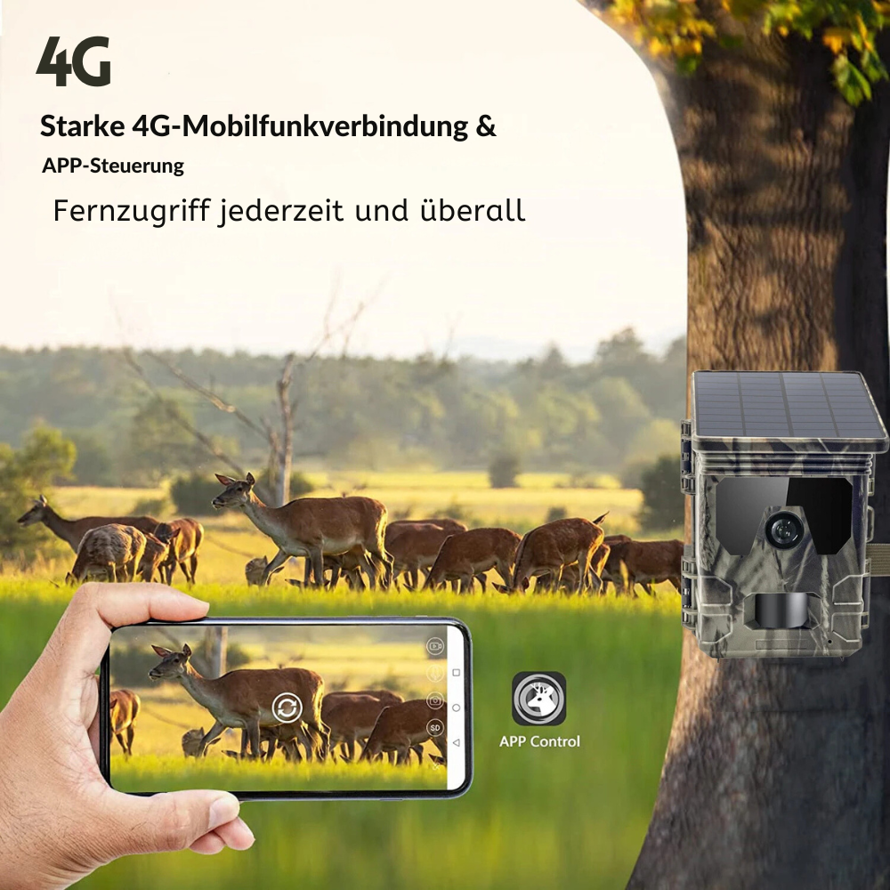 Wildkamera Solar 4G mit 4K-HD-Display, Nachtsicht, SMS-Steuerung + 128 GB Speicherkarte