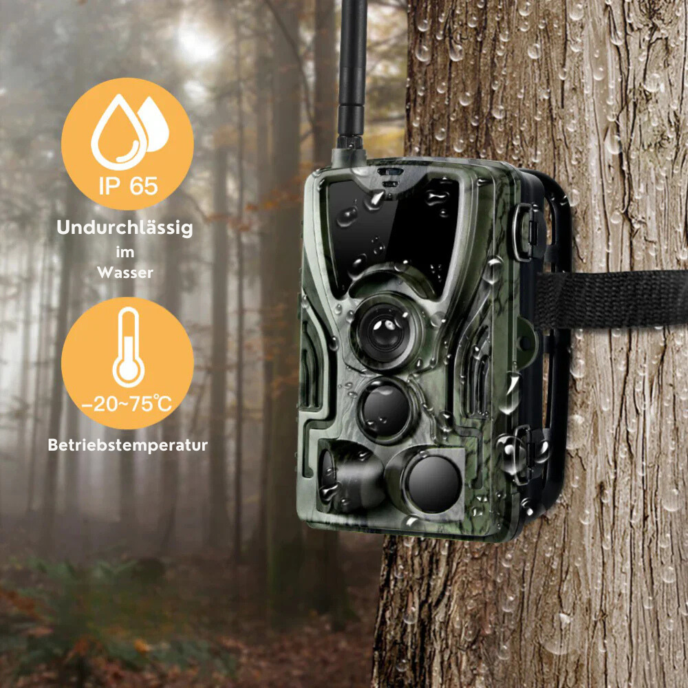 Wildkamera 4G mit Smartphone-Verbindung und Überwachungsfunktion