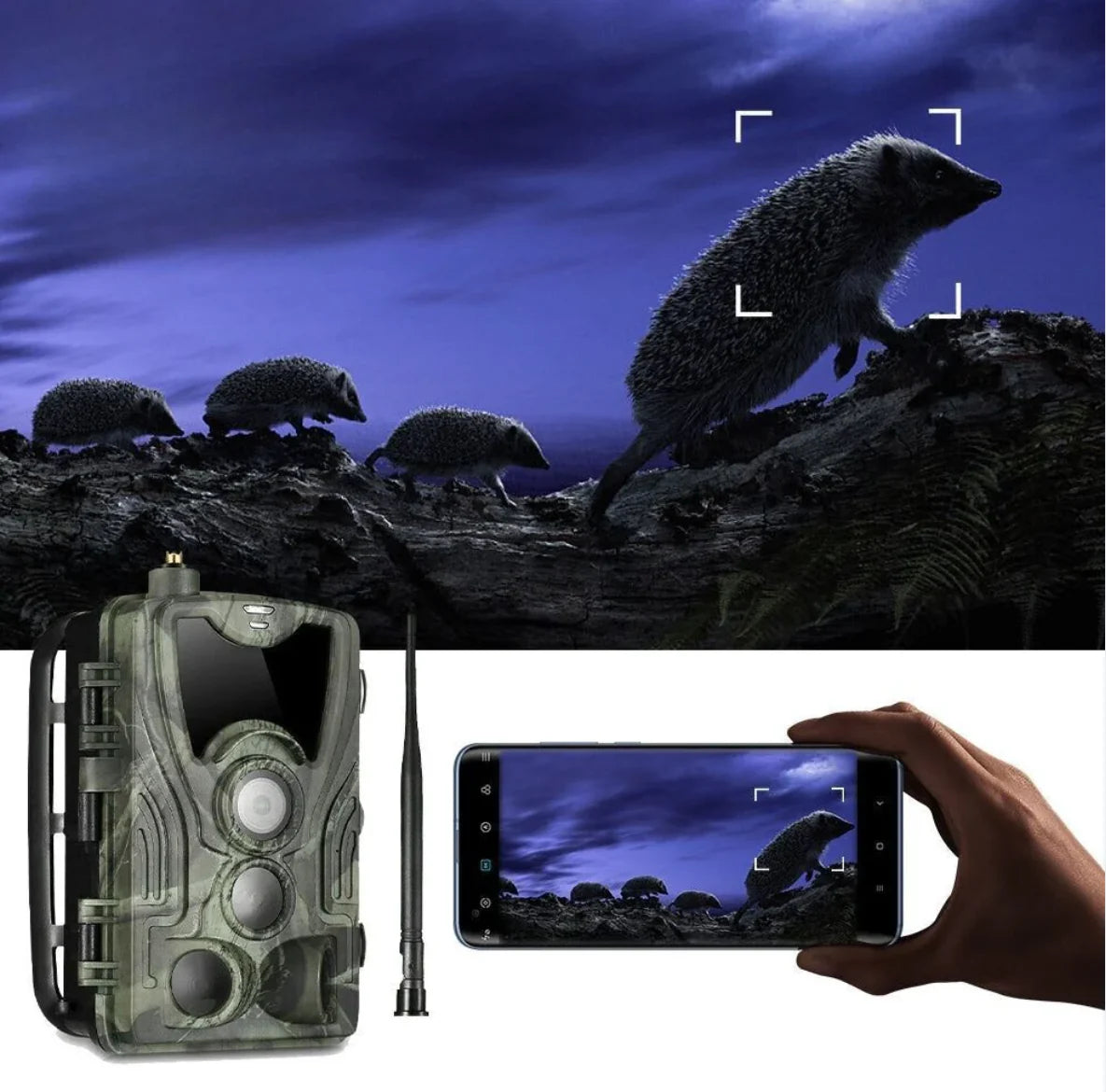 Wildkamera 4G mit Smartphone-Verbindung und Überwachungsfunktion