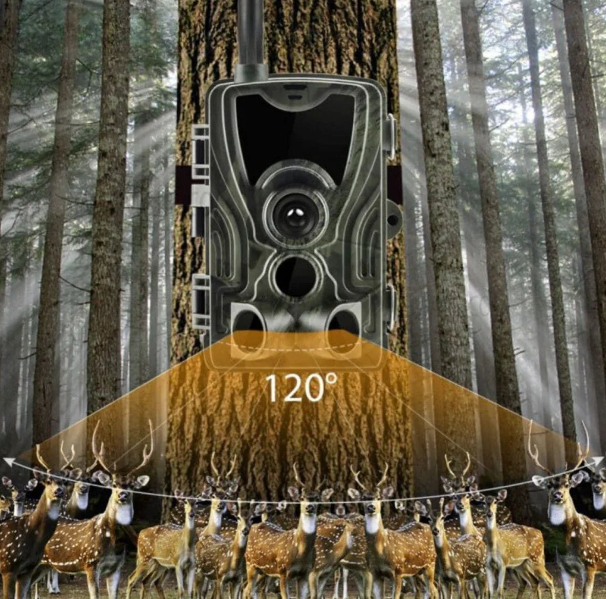 Wildkamera 4G mit Smartphone-Verbindung und Überwachungsfunktion
