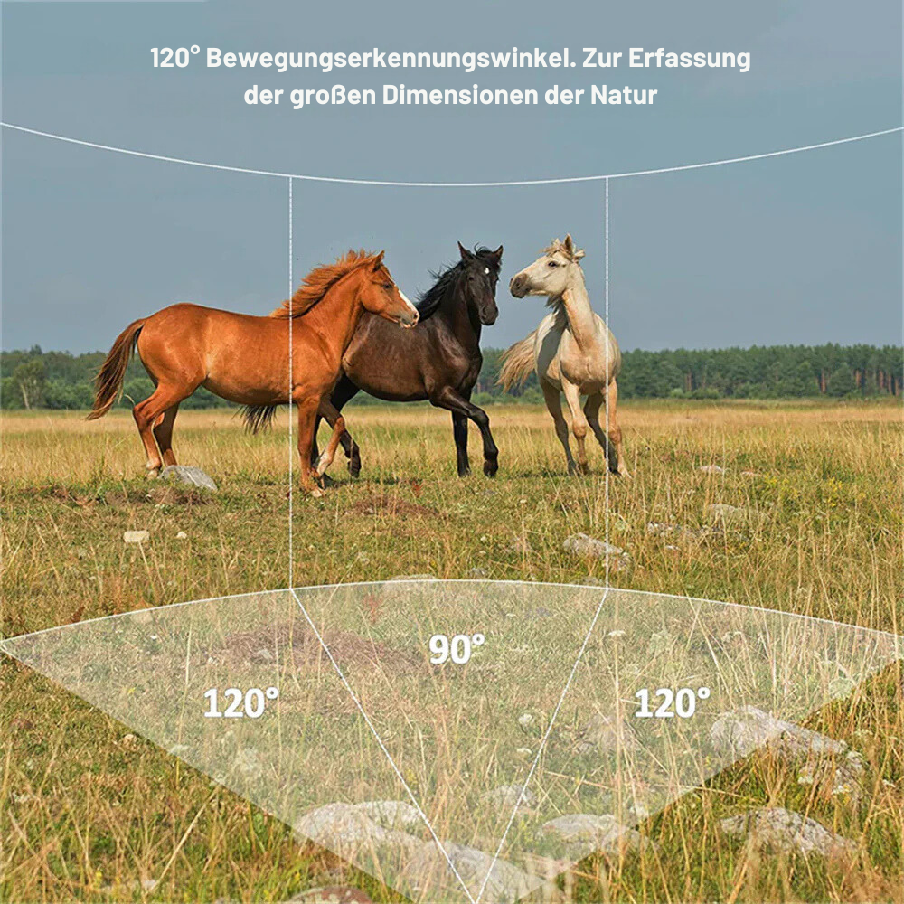 Wildkamera mit SMS/MMS-Benachrichtigungen, Nachtsicht und Überwachungsfunktion