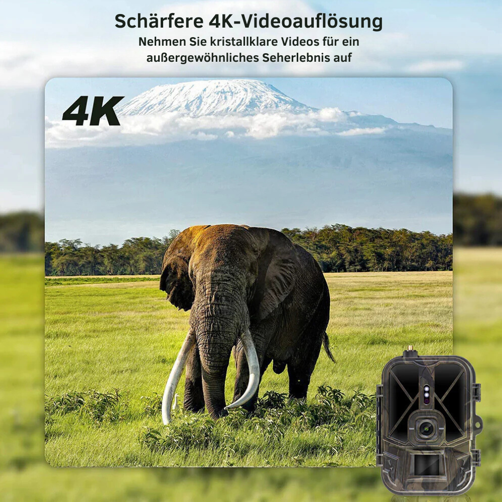 Wildkamera 4G mit Telefonverbindung und SMS/MMS-Funktion